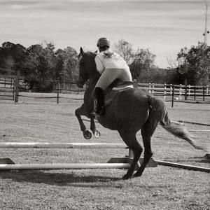 Meet your Posher, Marissa